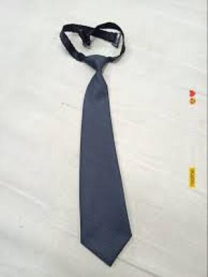 School Grey Plain Ties Long